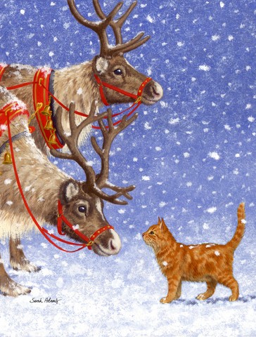Reindeers & Cat Flag Canvas House Size