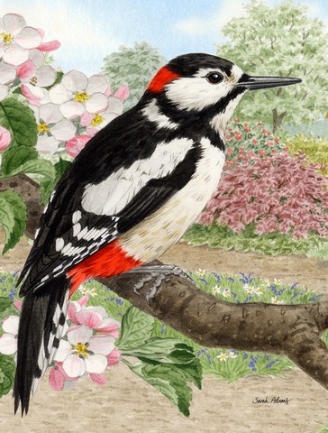Woodpecker Flag Canvas House Size