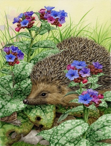 Hedgehog Flag Canvas House Size