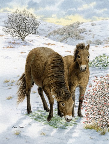 Exmoor Ponies Horse Flag Canvas House Size