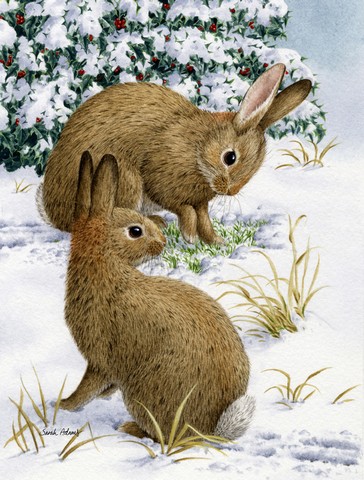 Rabbit Searching For Grass In The Snow Flag Canvas House Size