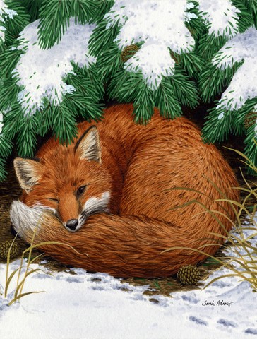 Fox Nap Time Flag Canvas House Size