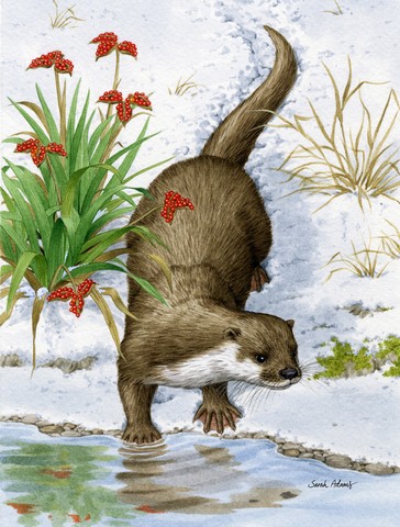 Otter By The Water Flag Canvas House Size