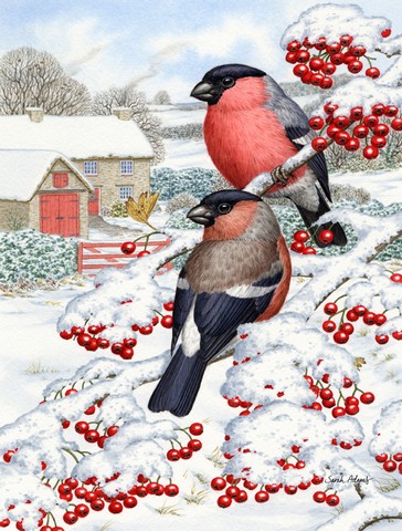 Eurasian Bullfinch Flag Canvas House Size