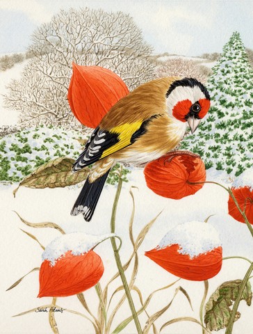 European Goldfinch Flag Canvas House Size