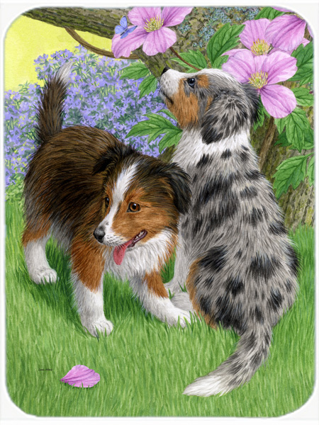 Picture of Carolines Treasures ASA2166LCB Sheltie Puppies Glass Cutting Board- Large