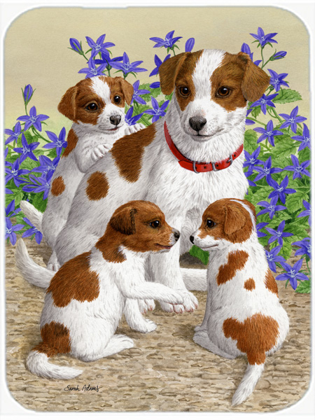 Picture of Carolines Treasures ASA2167LCB Jack Russell Terriers Glass Cutting Board- Large