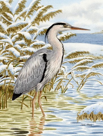 Blue Heron In The Water Flag Canvas House Size