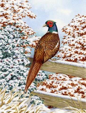 Pheasant Flag Canvas House Size