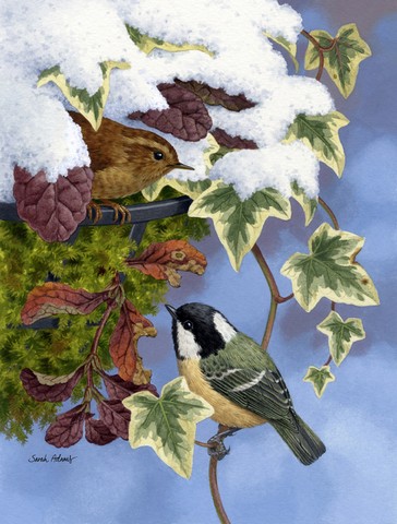 Coal Tit & Wren Flag Canvas House Size
