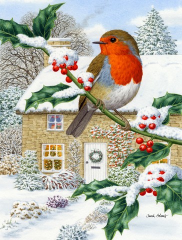 European Robin Flag Canvas House Size
