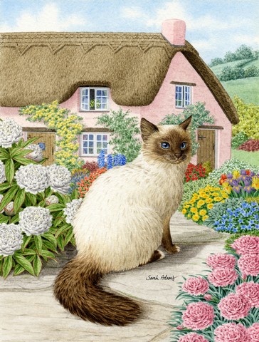 Birman Cat And Cottage Flag Canvas House Size