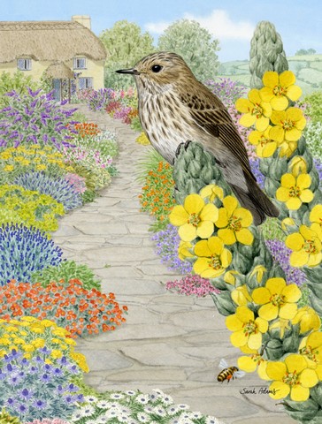 Spotted Flycatcher Flag Canvas House Size