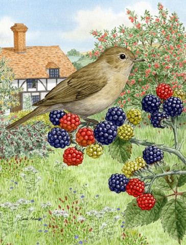 Garden Warbler Flag Canvas House Size