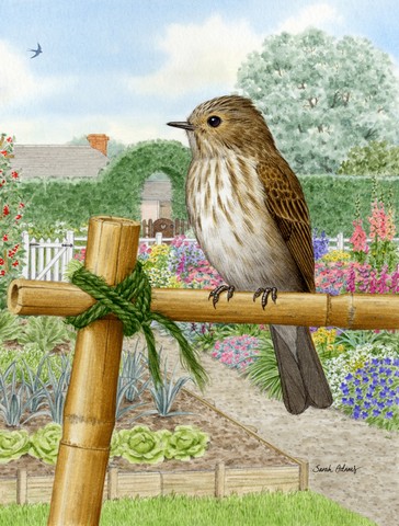 Spotted Flycatcher Flag Canvas House Size