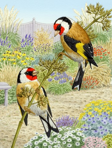 European Goldfinches Flag Canvas House Size