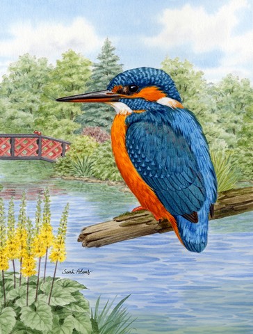 Kingfisher Flag Canvas House Size