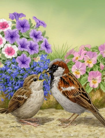 House Sparrows Flag Canvas House Size
