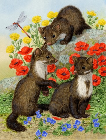 Stone Martins Beech Marten Flag Canvas House Size