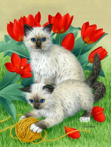 Birman Kittens Flag Canvas House Size