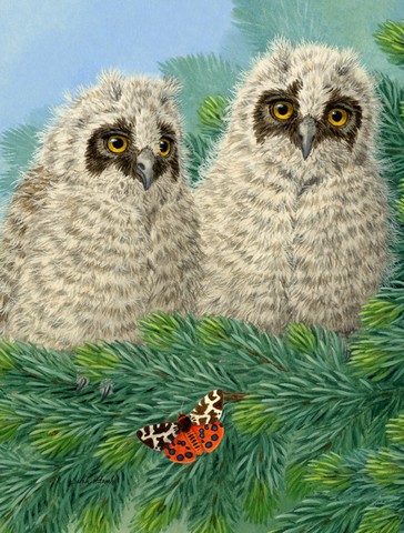 Owlets Flag Canvas House Size