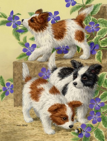 Papillon Pups Flag Canvas House Size