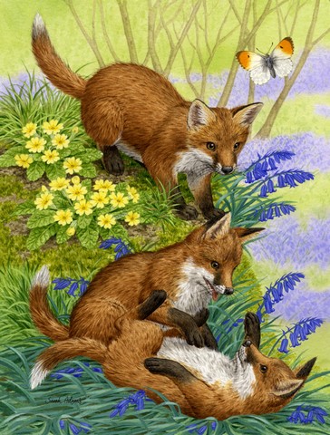 Fox Cubs Flag Canvas House Size