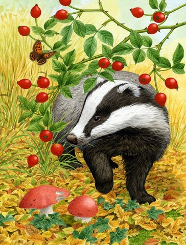 ASA2135CHF Badger Flag Canvas House Size