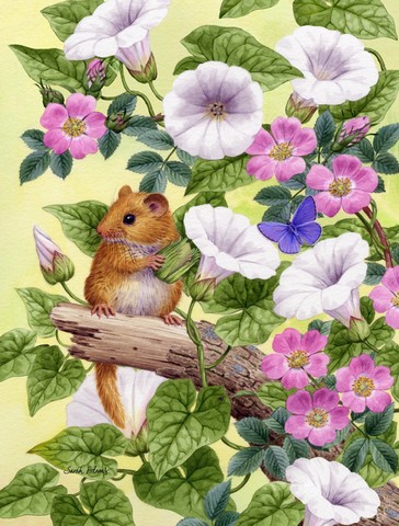 Dormouse Flag Canvas House Size