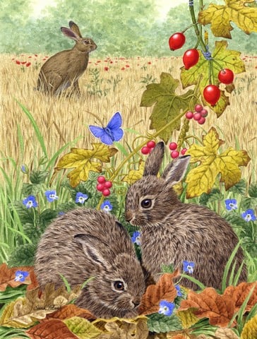 Leverets And Rabbit Flag Canvas House Size