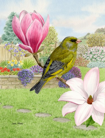 European Greenfinch Flag Canvas House Size