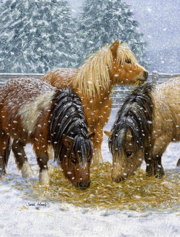 Shetland Ponies Flag Canvas House Size