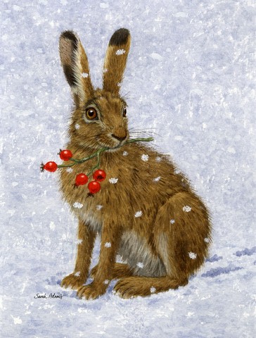 Rabbit Hare & Rosehips Flag Canvas House Size
