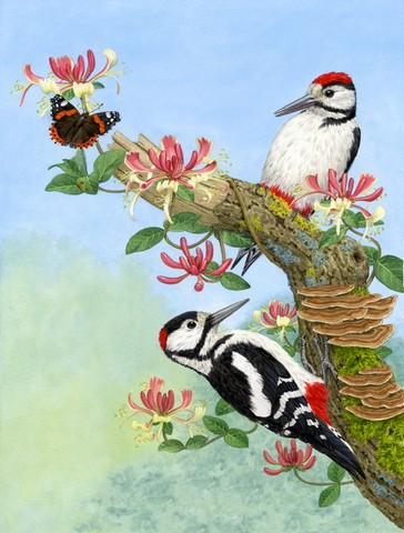 Woodpeckers Flag Canvas House Size