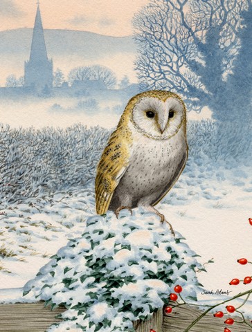 ASA2157CHF Barn Owl Flag Canvas House Size