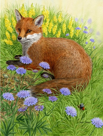 Springtime Fox Flag Canvas House Size