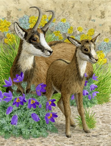 Chamois Flag Canvas House Size