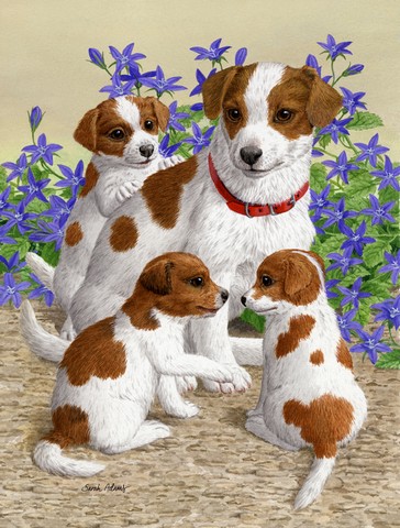 Jack Russell Terriers Flag Canvas House Size
