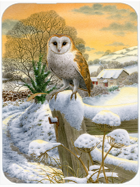 Picture of Carolines Treasures ASA2002LCB Sunset Barn Owl Glass Cutting Board- Large