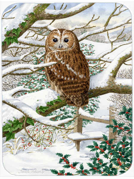 Picture of Carolines Treasures ASA2008LCB Tawny Owl Glass Cutting Board- Large