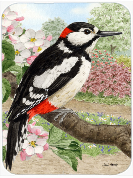 Picture of Carolines Treasures ASA2018LCB Woodpecker Glass Cutting Board- Large