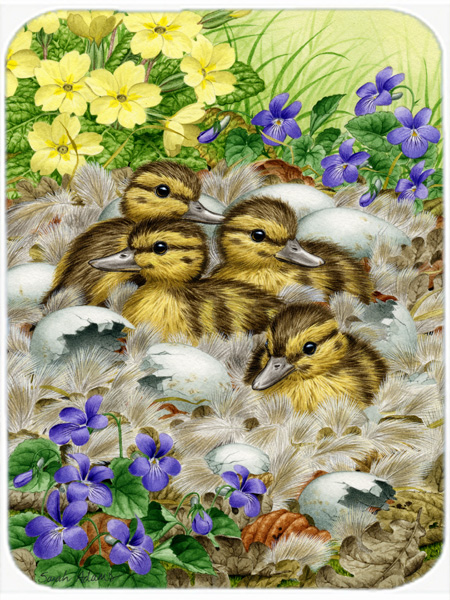 Picture of Carolines Treasures ASA2020LCB Mallard Duck Chicks Glass Cutting Board- Large
