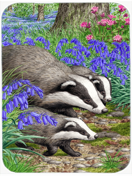Picture of Carolines Treasures ASA2021LCB Badgers Glass Cutting Board- Large