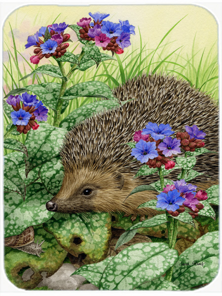 Picture of Carolines Treasures ASA2022LCB Hedgehog Glass Cutting Board- Large