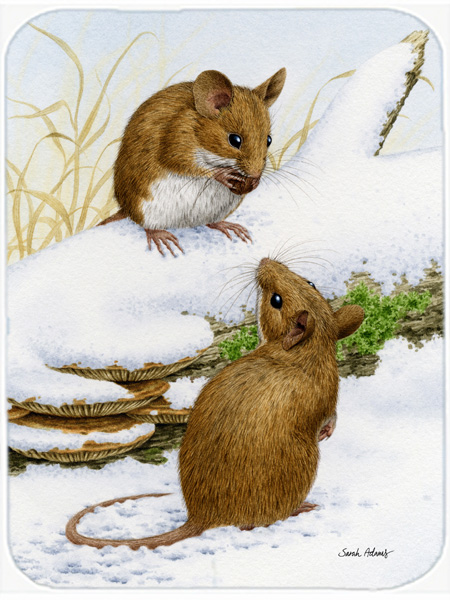 Picture of Carolines Treasures ASA2027LCB Wood Mice Wood Mouse Glass Cutting Board- Large