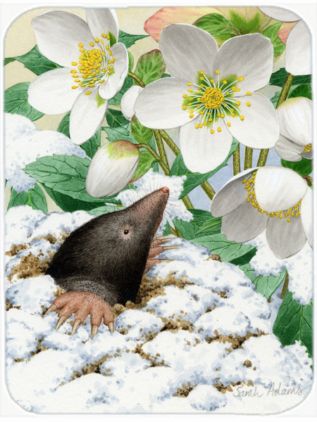 Picture of Carolines Treasures ASA2031LCB Mole Glass Cutting Board- Large