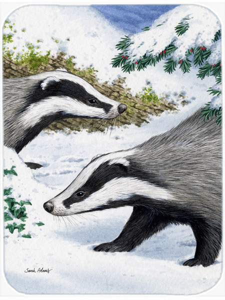 Picture of Carolines Treasures ASA2040LCB Badgers Look Here Glass Cutting Board- Large