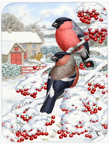 Picture of Carolines Treasures ASA2054LCB Eurasian Bullfinch Glass Cutting Board- Large