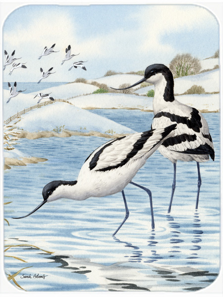 Picture of Carolines Treasures ASA2056LCB Avocets Glass Cutting Board- Large