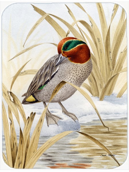 Picture of Carolines Treasures ASA2059LCB Eurasian Teal Duck Glass Cutting Board- Large